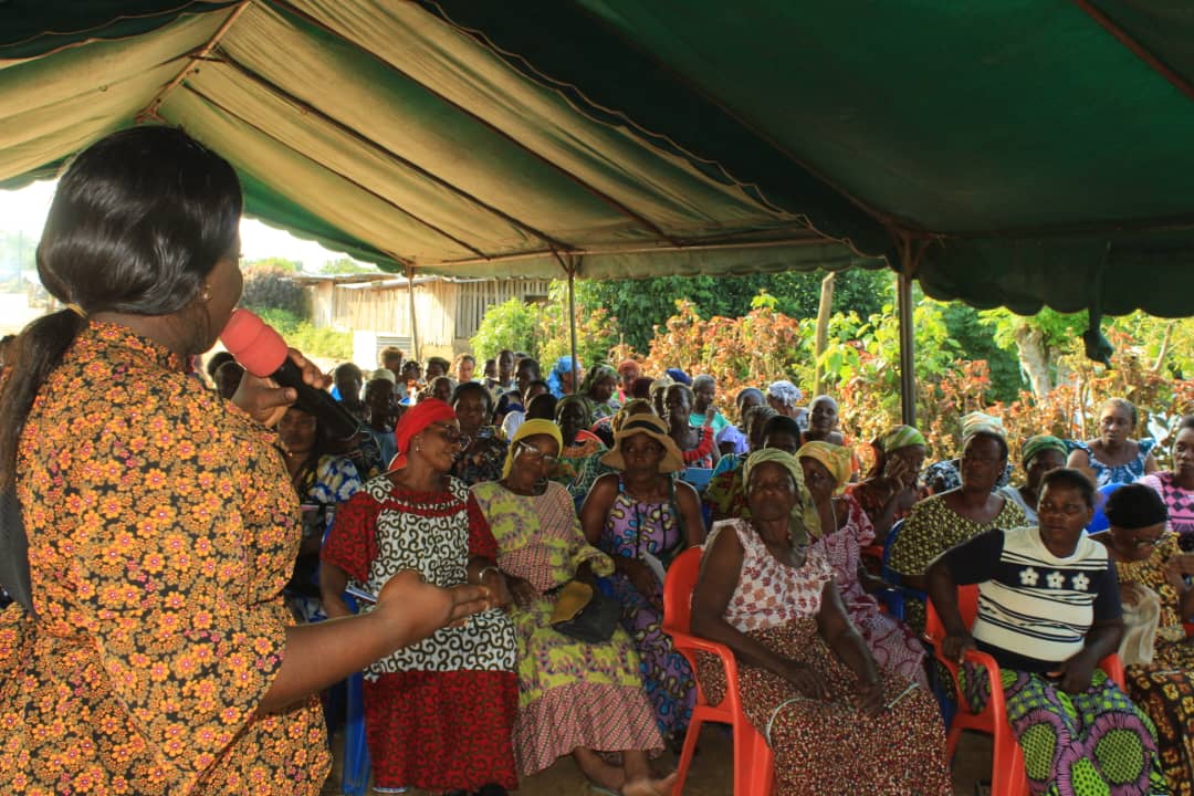 Projet Communautaire JFED-CI - Photo 3